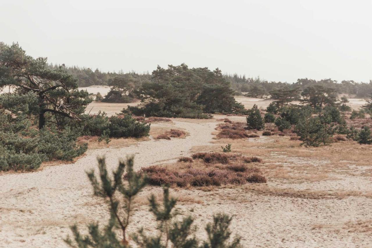 Boshuisje Op De Veluwe Nunspeet Exterior photo